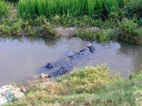 पर्सा : मोटरसाईकल दुर्घटना हुदा एकको मृत्यु