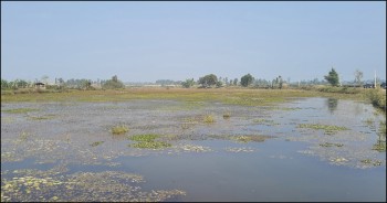 १०० बिघा सिमसार व्यक्तिका नाममा